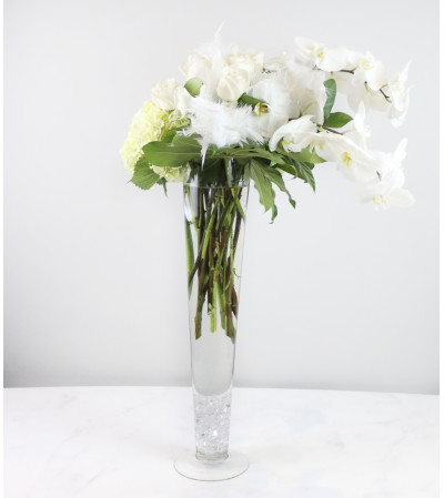 Purity Purity