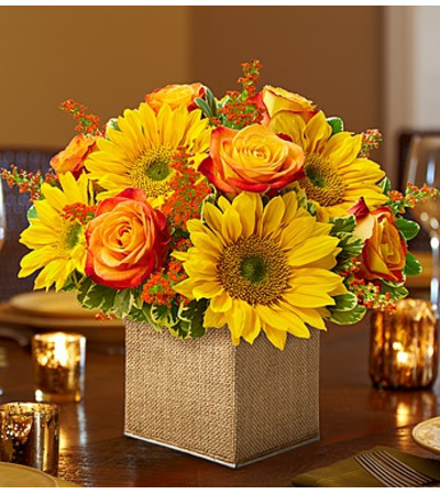 Modern Enchantment™ for Fall Modern Enchantment™ for Fall