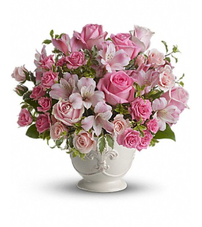 pink popouris bqt pink popouris bqt