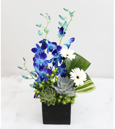 Contemporary Chic Bouquet Contemporary Chic Bouquet