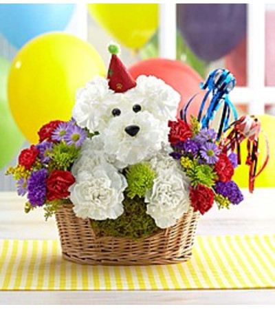 HAPPY BIRTHDAY DOG LOVER'S HAPPY BIRTHDAY DOG LOVER'S