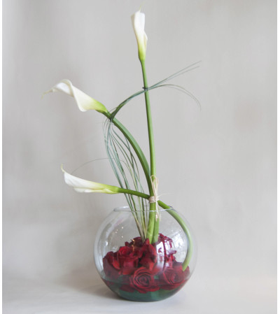 Delicate Delicate