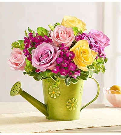 Garden Roses Garden Roses