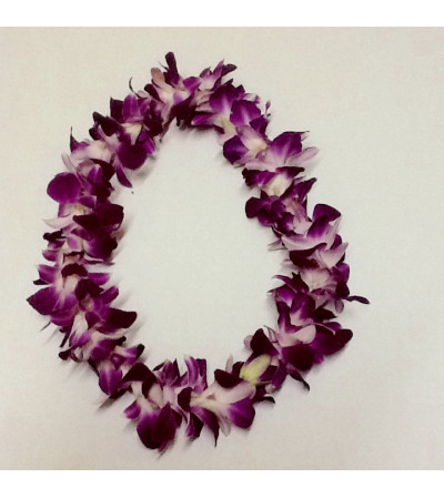 Single Lei Single Lei