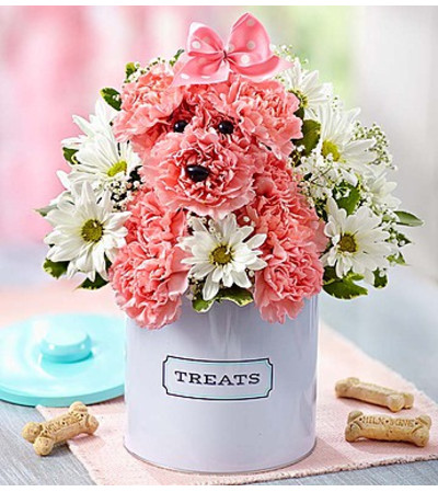 Princess Paws™ in Treats Canister Princess Paws™ in Treats Canister