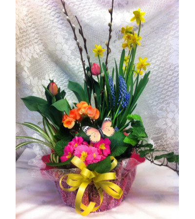Spring Planter Spring Planter