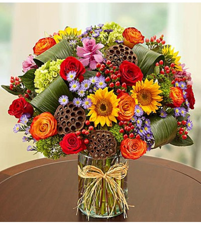 Garden of Grandeur™ for Fall Garden of Grandeur™ for Fall