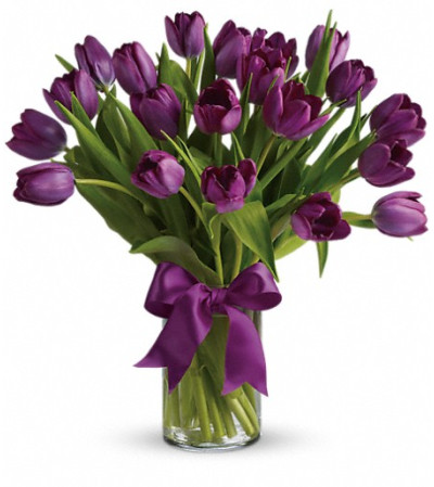 Passionate Purple Tulips Passionate Purple Tulips
