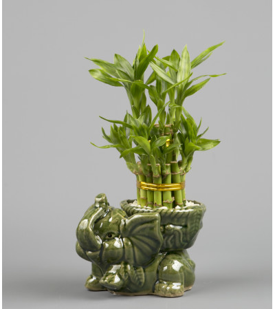 Decorative Elephant Bamboo Decorative Elephant Bamboo