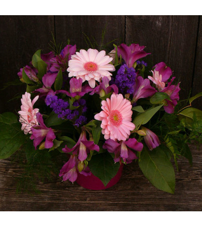 Special for You Special for You