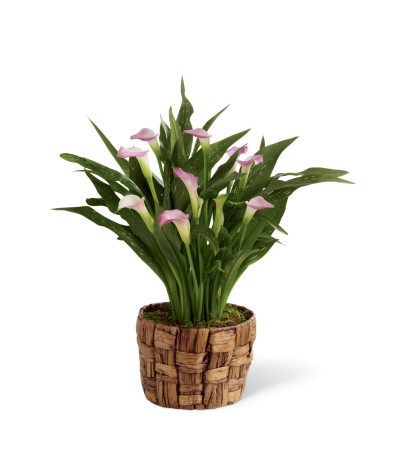 The FTD® Calla Lily Planter The FTD® Calla Lily Planter