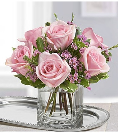 Sweet Sentiments™ Pink Roses Sweet Sentiments™ Pink Roses