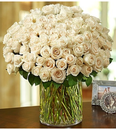 100 Premium White Roses in a Vase 100 Premium White Roses in a Vase