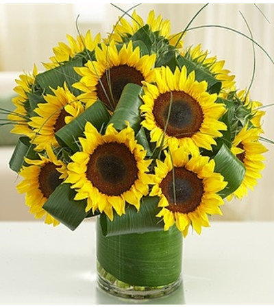 Sun-Sational Sunflowers™ Sun-Sational Sunflowers™