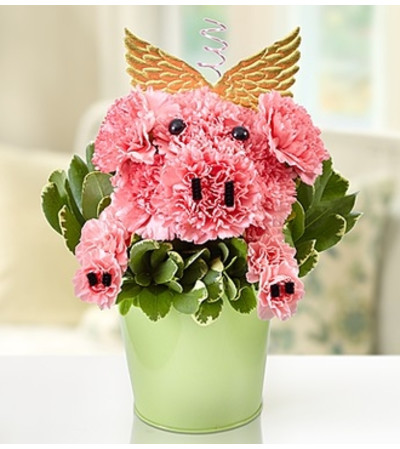 Piggie Flower Pail™ Piggie Flower Pail™