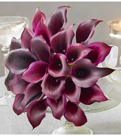 Purple Elegance Mini Calla Lily Bouquet Purple Elegance Mini Calla Lily Bouquet