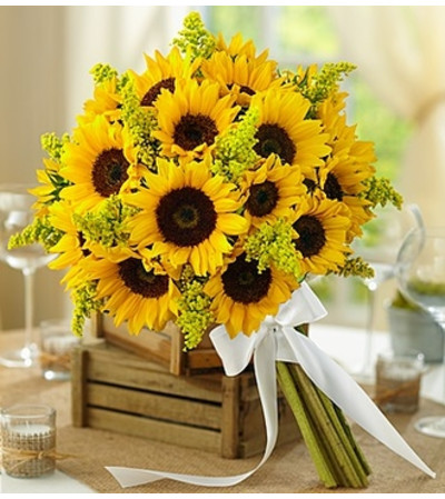 Country Wedding All Sunflower Bouquet Country Wedding All Sunflower Bouquet