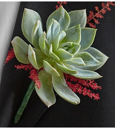 Vineyard Wedding Boutonniere Vineyard Wedding Boutonniere