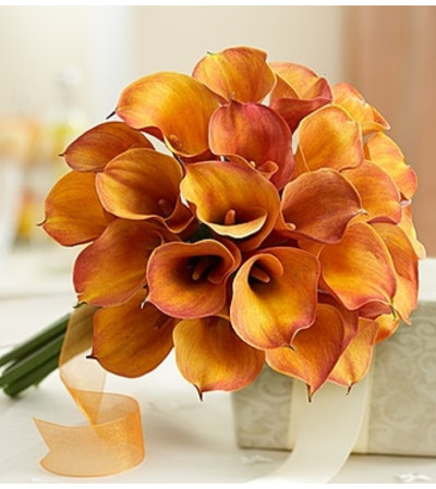 Golden Sunset Mini Calla Lily Bouquet Golden Sunset Mini Calla Lily Bouquet