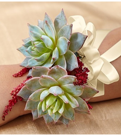Vineyard Wedding Corsage - Succulent Vineyard Wedding Corsage - Succulent