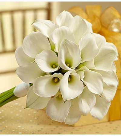 White Mini Calla Liliy Bouquet White Mini Calla Liliy Bouquet