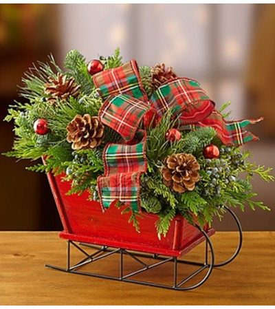 Christmas Sleigh with Fresh Evergreens Christmas Sleigh with Fresh Evergreens