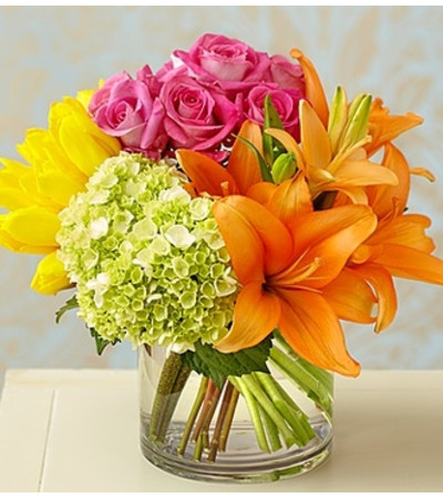 Colorburst of Spring™ Colorburst of Spring™