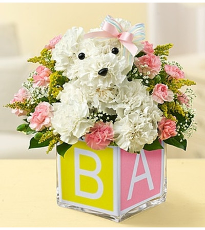 It’s a-DOG-able!™ - Girl It’s a-DOG-able!™ - Girl