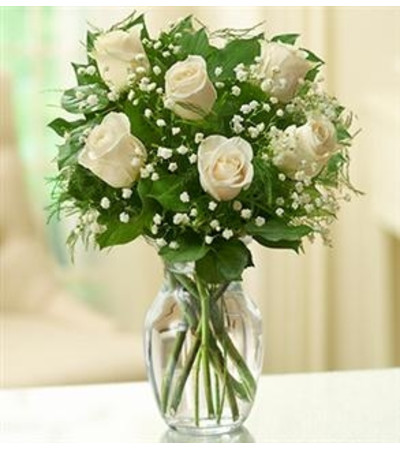 Rose Elegance™ Premium White Roses - 1/2 Doze Rose Elegance™ Premium White Roses - 1/2 Doze