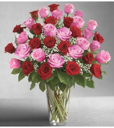 Ultimate Elegance™ Long Stem Pink & Red Roses Ultimate Elegance™ Long Stem Pink & Red Roses