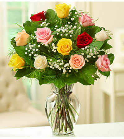 Rose Elegance™ Premium Assorted Roses Rose Elegance™ Premium Assorted Roses