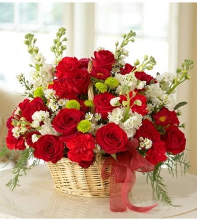 Mixed Basket Arrangement for Sympathy - Red Mixed Basket Arrangement for Sympathy - Red