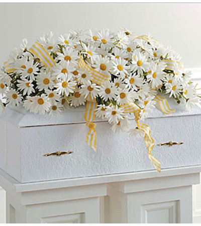 Infant Casket Spray with Daisies Infant Casket Spray with Daisies