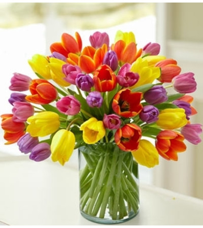 Enchanting Tulip Bouquet Enchanting Tulip Bouquet