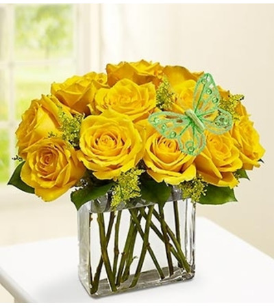 Modern Roses - One Dozen Yellow Modern Roses - One Dozen Yellow
