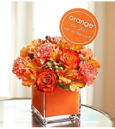 Orange You Glad We’re Friends™ Orange You Glad We’re Friends™