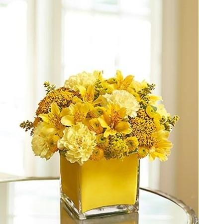Colors of Love - Yellow Colors of Love - Yellow