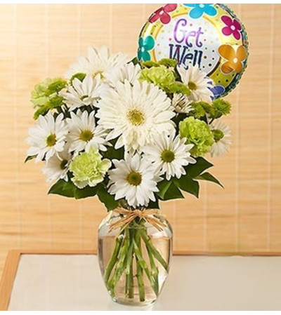Serene Green™ - Get Well Serene Green™ - Get Well