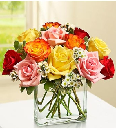 Modern Roses - One Dozen Assorted Modern Roses - One Dozen Assorted