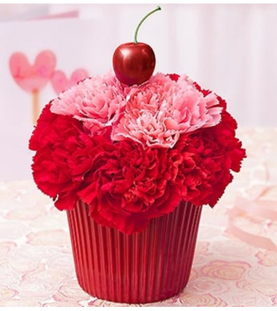Cupcake For Your Cupcake Cupcake For Your Cupcake
