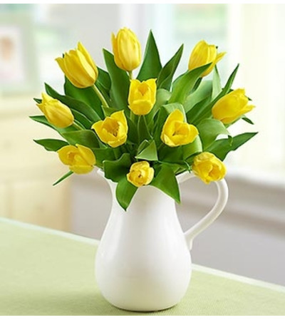 Yellow Tulips in Pitcher Yellow Tulips in Pitcher