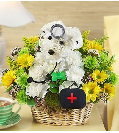 Doggie Howser M.D.™ 2015 Doggie Howser M.D.™ 2015