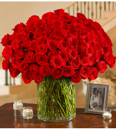 100 Premium Red Roses in a Vase 100 Premium Red Roses in a Vase