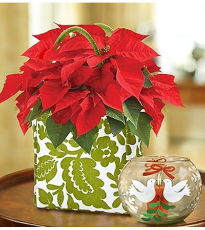 Poinsettia Tote with Votive Poinsettia Tote with Votive