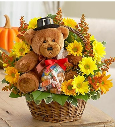 Lotsa Love® for Fall Lotsa Love® for Fall