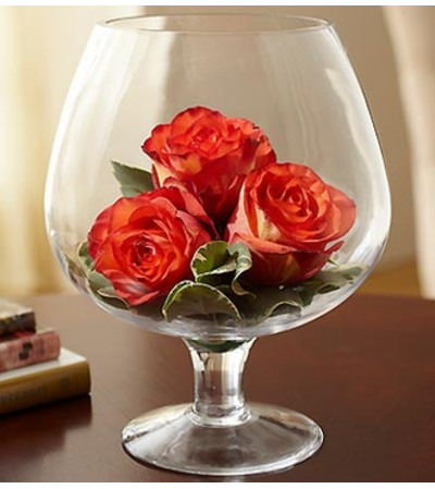 Brandy Rose™ for Fall Brandy Rose™ for Fall