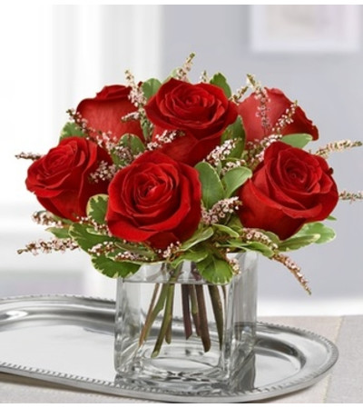 Rose Romance™ Rose Romance™