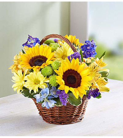 Fields of Europe™ for Summer Basket Fields of Europe™ for Summer Basket