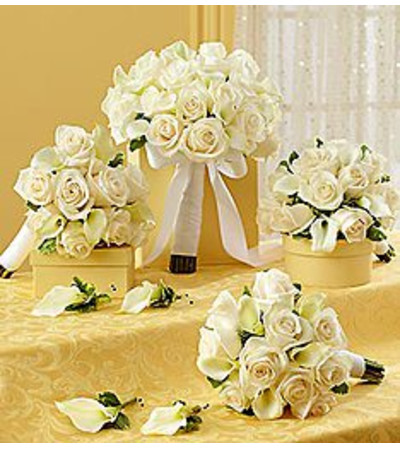 Bridal White Personal Package Bridal White Personal Package