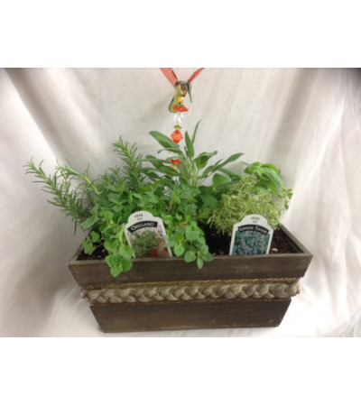 Herb Garden Herb Garden